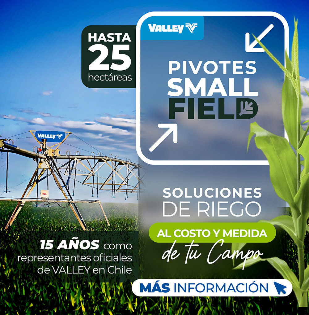 Cotiza tu proyecto Valley- 
