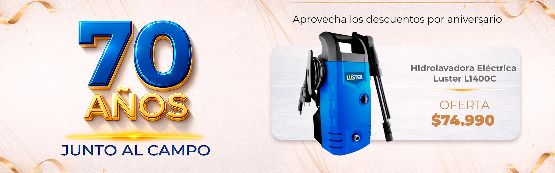 Promoción Aniversario Motosierra Stihl 310