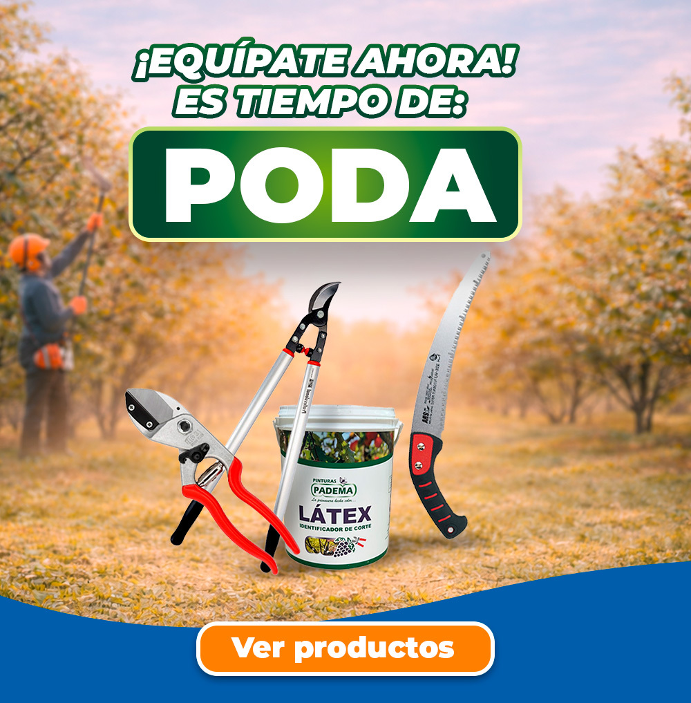Prepárate para la temporada de poda