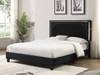 VOLOS Black Velvet Bed with LED Glow