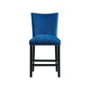 Francesca - Velvet Counter Height Chair (Set of 2)
