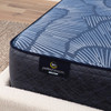 Serta Perfect Sleeper® Ellis Nights 14" Plush Hybrid Mattress