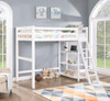 Anica - Workstation Loft Bed