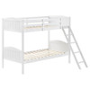 Arlo - Bunk Bed with Ladder