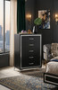 ELEINA Black 31" x 49" Chest