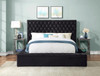 CERENE Black Velvet 61" Height Platform Bed with Storage Benches