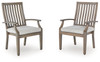 Rainier Ranch - Arm Chair With Cushion (Set of 2) - Brown / Beige