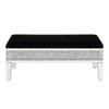 Noralie - 19" Bench With Storage - Mirrored & Faux Diamonds