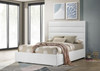 Felicity - Upholstered Bed