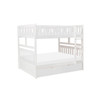 Galen - Bunk Bed