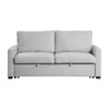 Price - Convertible Studio Sofa With Pull-Out Bed - Gray