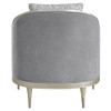 Fernando - Chair With Pillow - Gray Chenille & Champagne