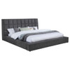 Dreux - Upholstered Panel Platform Bed