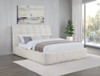 Nollet - Upholstered Platform Bed