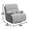 Cyprus - Recliner Chair - Gray