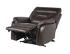 Fortuna - Dual Power Recliner - Coffee