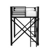 Talia - Loft Bunk And Ladder