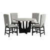 Oregon - 5 Piece Counter Height Dining Set (Round Counter Table And Four Chairs)