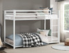 CHLOE White 78" x 42" Twin Metal Platform Low Bunkbed