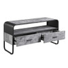 Raziela - 22" TV Stand - Concrete Gray & Black