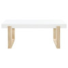 Pala - Rectangular Coffee Table With Sled Base - White High Gloss And Natural