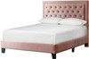 DAHLIA Blush Pink Velvet Platform Bed