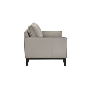 Aaron - Loveseat - Mist Gray