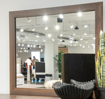 Janfyn - Bedroom Mirror - Brown