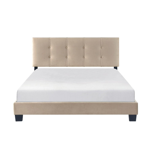 Newberry - Platform Bed