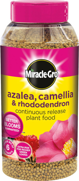 Miracle-Gro Azalea, Camellia and Rhododendron Continuous Release Plant Food Shaker Jar, 1 kg (5)