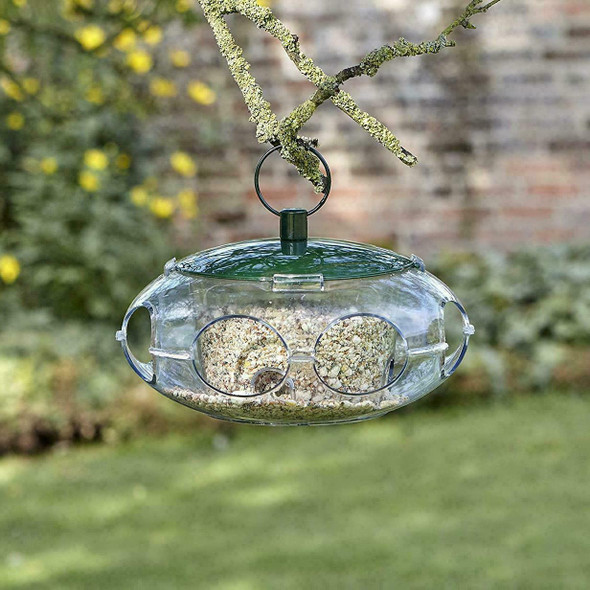 Peckish Small Bird Seed Feeder, Small Entrances for Smaller Birds & Hanging Ring