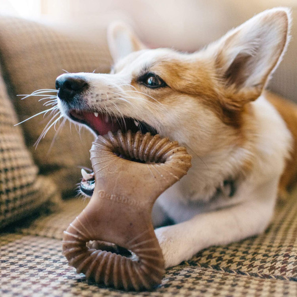 Benebone Durable Dental Dog Chew Toy for Aggressive Chewers, Real Bacon, Small, Updated Design.