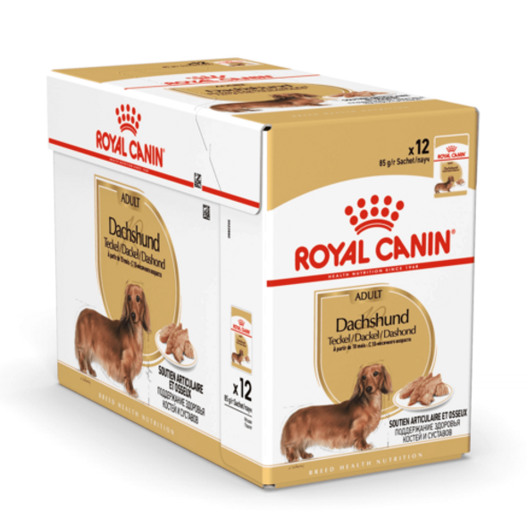 ROYAL CANIN Jamnik Adult Dog Food, 85 g