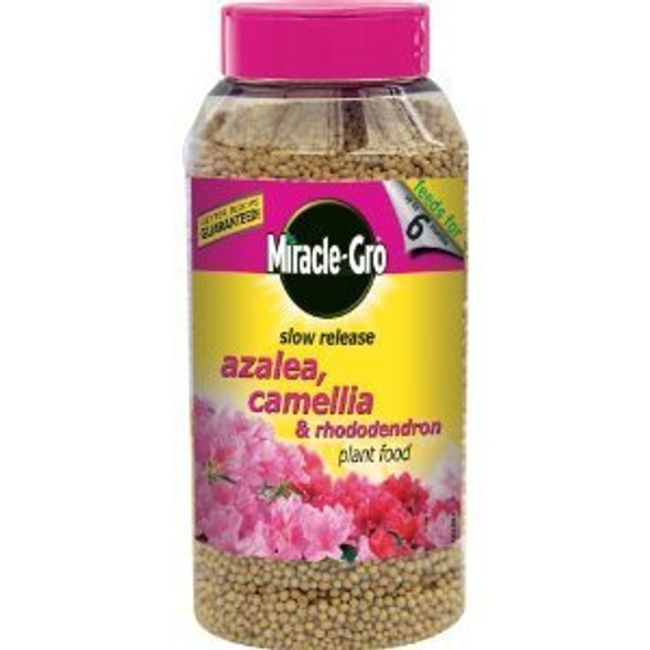 Miracle-Gro 1 kg Slow Release Azalea Camellia and Rhododendron Plant Food