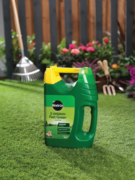 Miracle-Gro EverGreen Fast Green Lawn Food with Dual Action, Iron Supplement