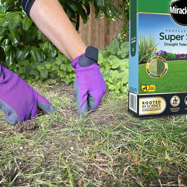 Miracle-Gro Professional Super Drought Tolerant Lawn Seed 33m2/1kg