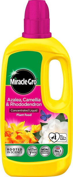 Miracle-Gro 121180 Azelia, Camellia & Rhododendron Concentrated Plant Food, 800 ml, Natural