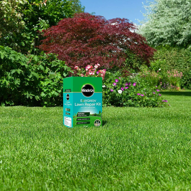 Evergreen Lawn Repair Kit 20 Sq M Lawn Food and Grass Seed