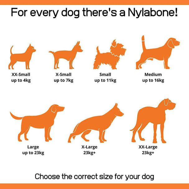 3 x Nylabone Big Dog Bone Dura Chew X-Large Chicken Flavoured for 50lbs +