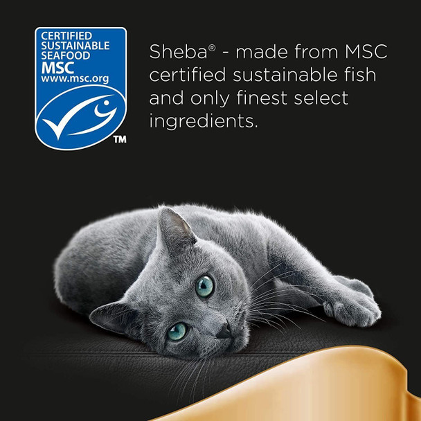 Sheba Fine Flakes in Jelly – Fish Collection – Wet cat food pouches for adult cats – 12x85g pack