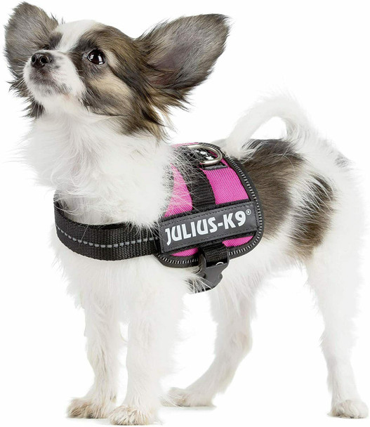 Trixie Julius-K9 IDC Powerharness Dog Harness 2XS/Baby 2, 33–45 cm/18 mm Fuchsia