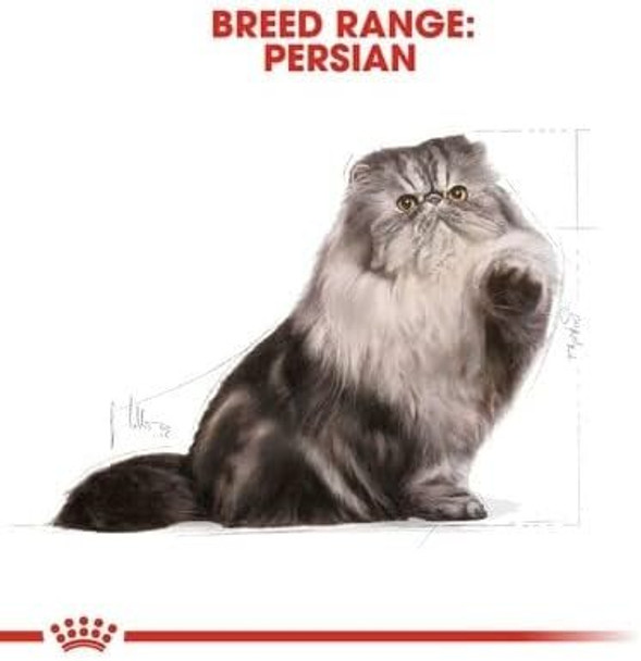 Royal Canin Persian Adult Dry Breed Cat Food 400g