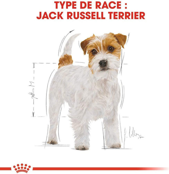 Royal Canin Dog Food Jack Russell Complete 1.5KG