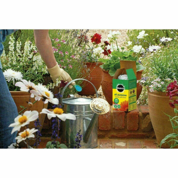 Miracle-Gro All Purpose Plant Food 1kg PLUS 20% Free