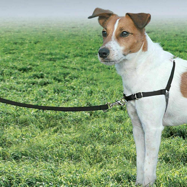 PetSafe Easy Walk Harness & 1.8m Lead for Medium Dogs - No Pull Collar - Black
