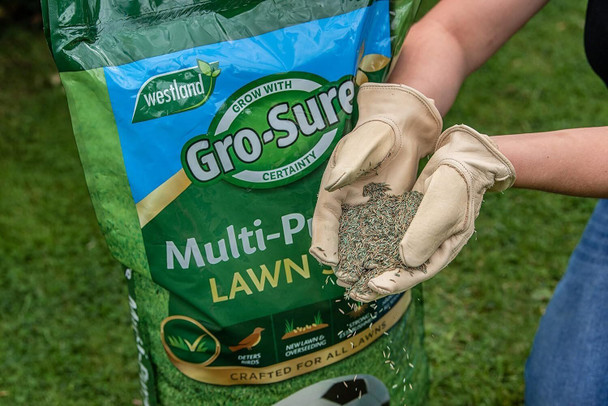 Westland Gro-Sure Multi- Purpose Grass Lawn Seed - 120 sq.m - 3.6 kg (20500174)