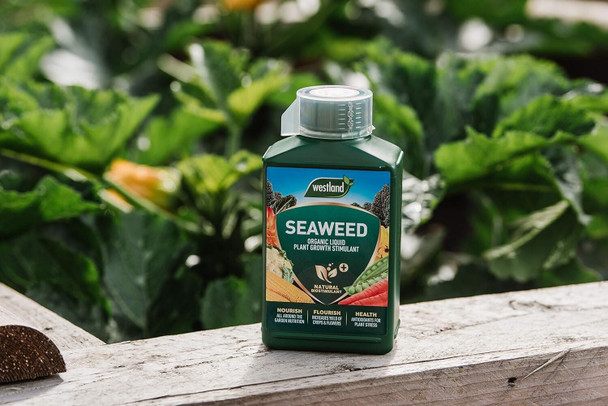 Westland Horticulture 20100443 Organic Seaweed Plant Growth Stimulant Liquid Plant Food 1L