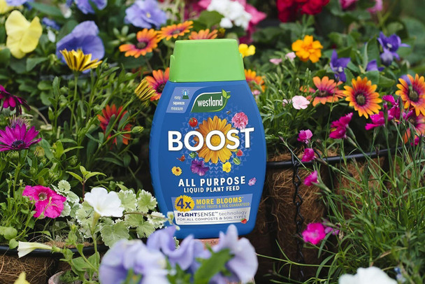 Westland Boost All Purpose Liquid Plant Food 1L with a Thank You Sticker