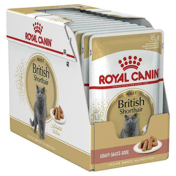 Royal Canin British Shorthair Wet Cat Food, 85 g (Pack of 12)