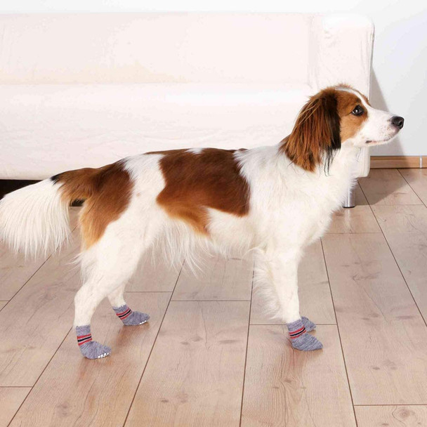 Trixie Dog socks, non-slip